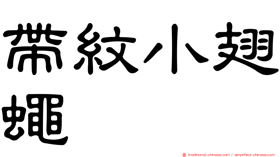 帶紋小翅蠅