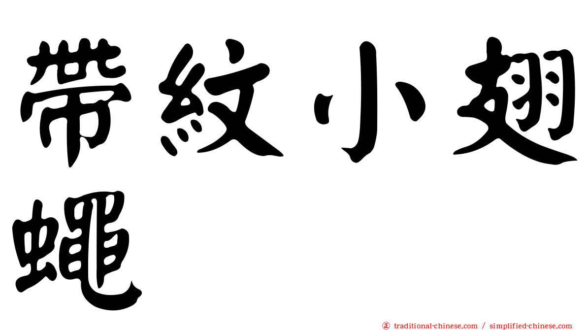 帶紋小翅蠅