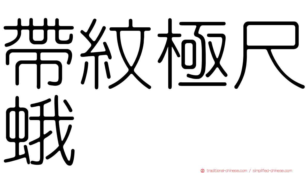 帶紋極尺蛾