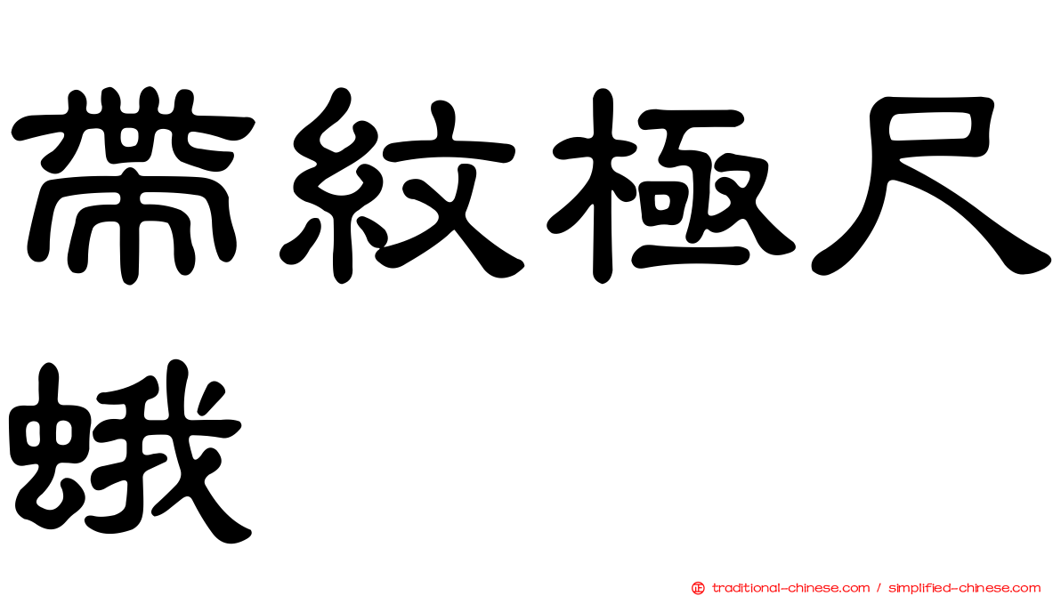 帶紋極尺蛾