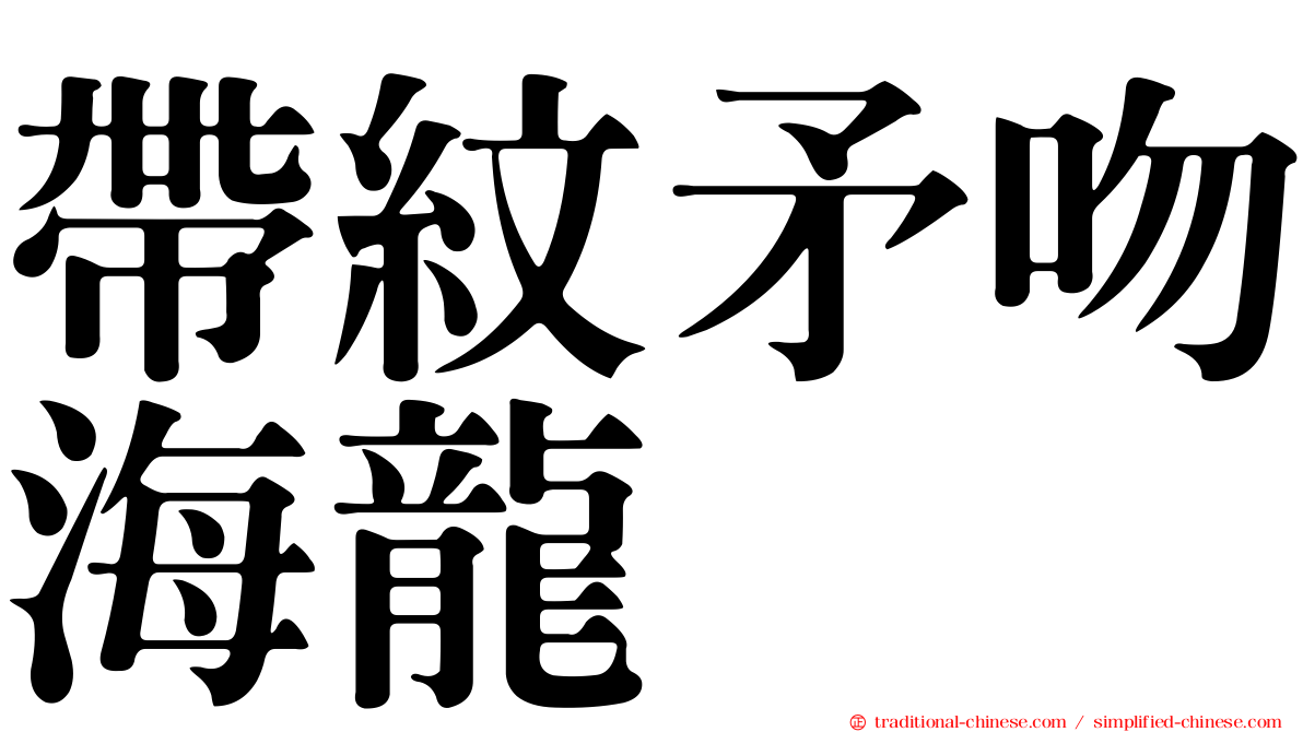 帶紋矛吻海龍
