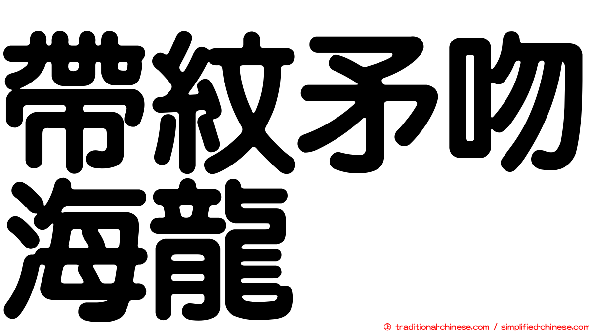 帶紋矛吻海龍