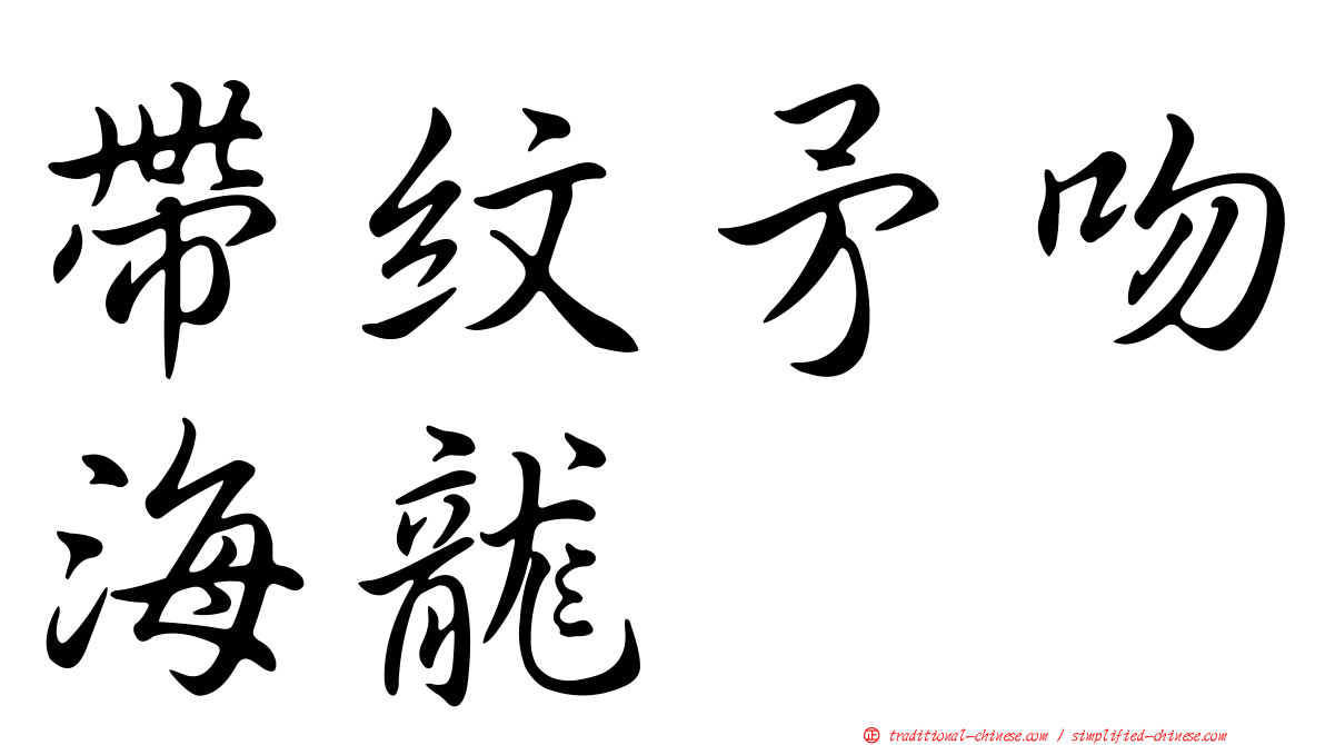 帶紋矛吻海龍