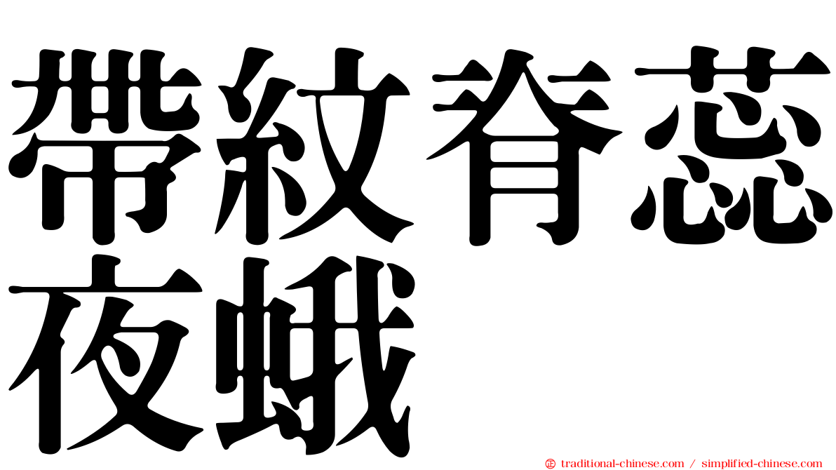 帶紋脊蕊夜蛾