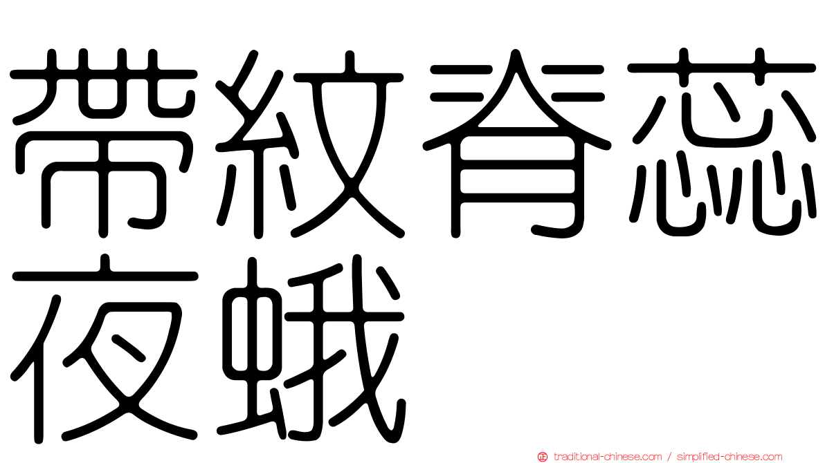 帶紋脊蕊夜蛾