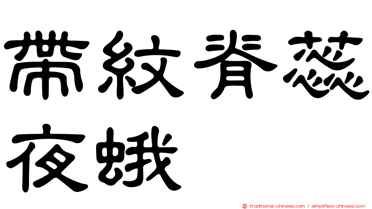 帶紋脊蕊夜蛾