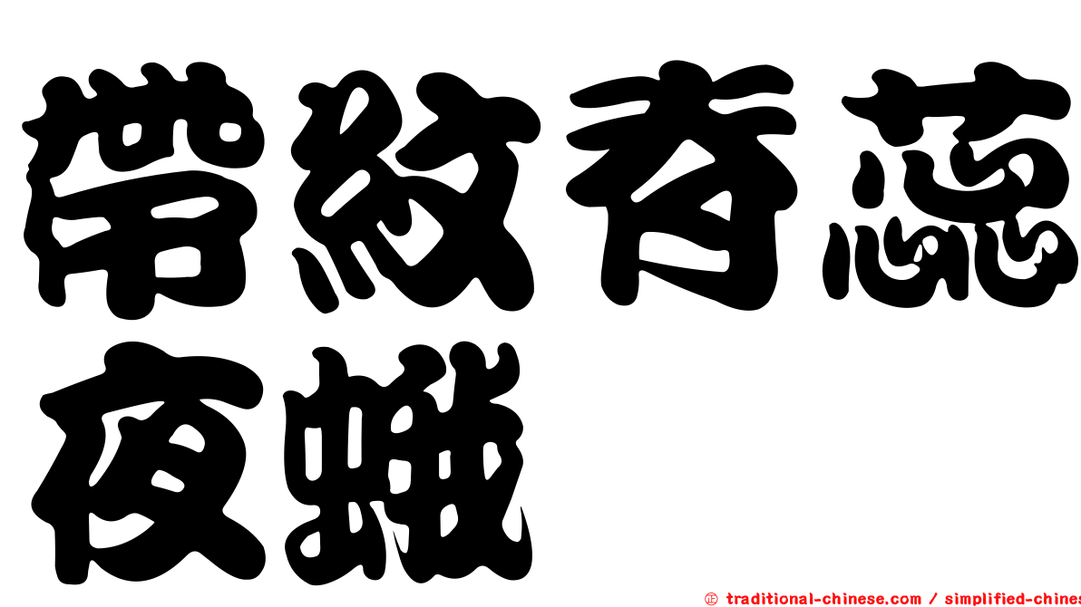 帶紋脊蕊夜蛾