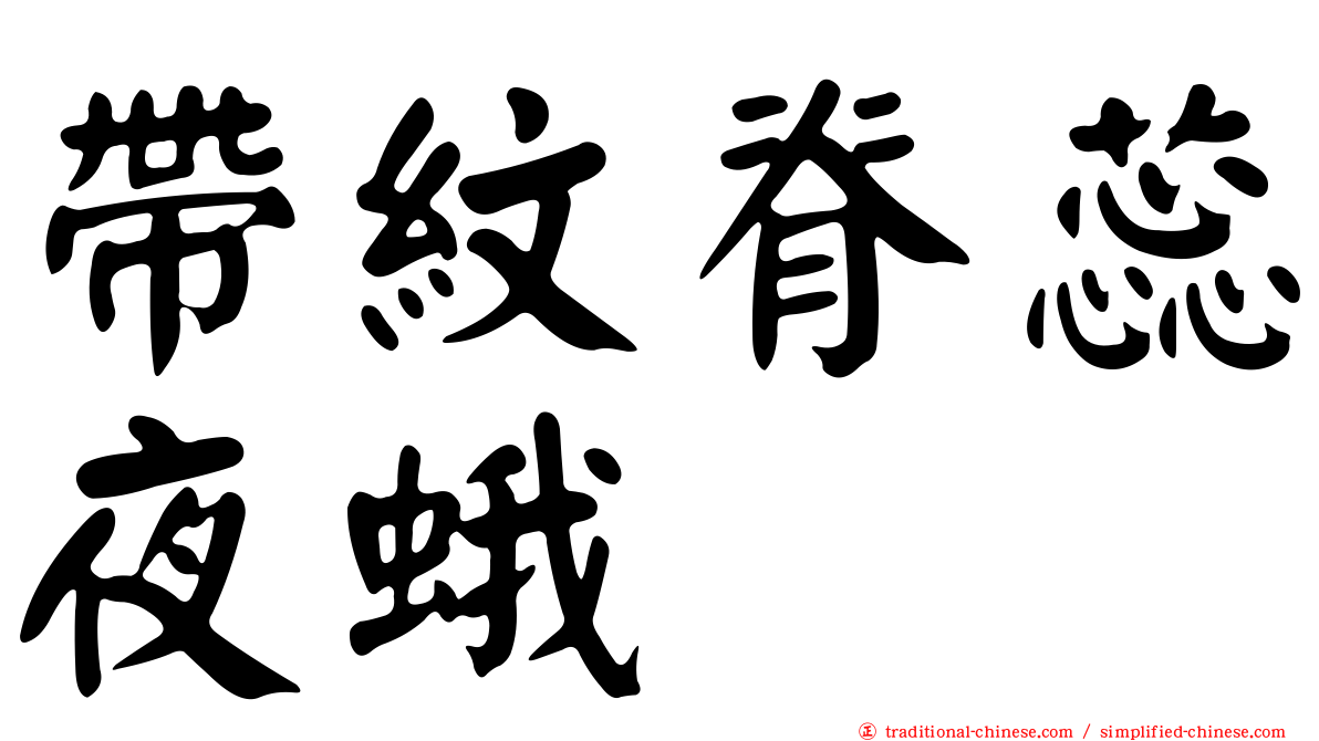 帶紋脊蕊夜蛾