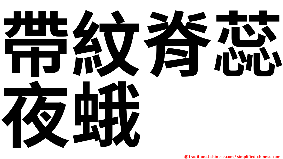 帶紋脊蕊夜蛾