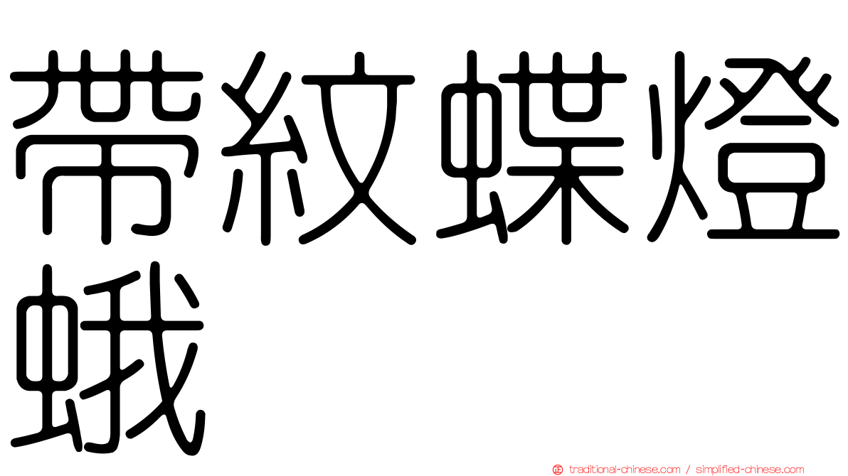 帶紋蝶燈蛾