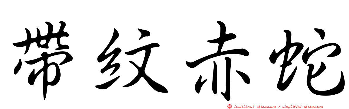 帶紋赤蛇