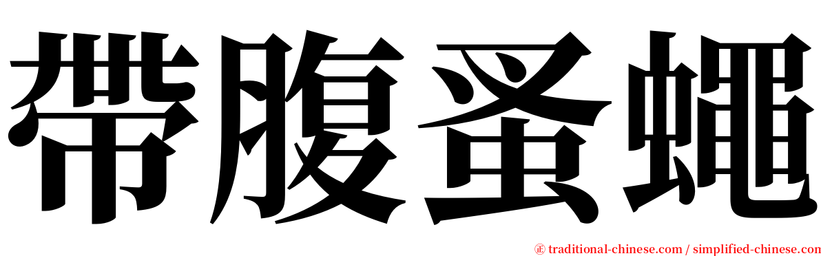 帶腹蚤蠅 serif font
