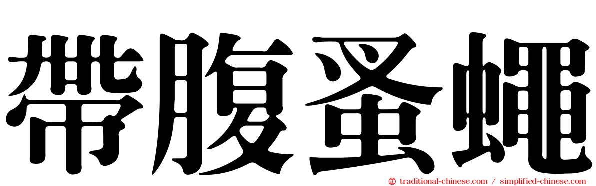 帶腹蚤蠅