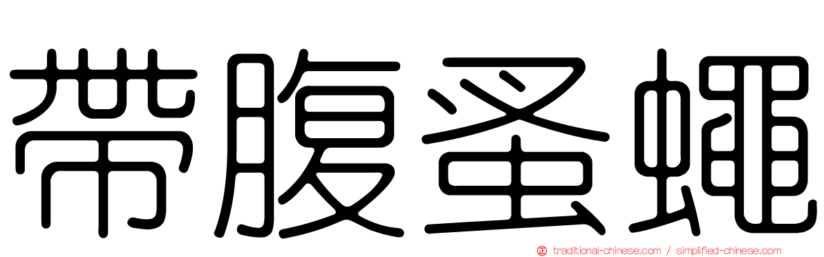 帶腹蚤蠅