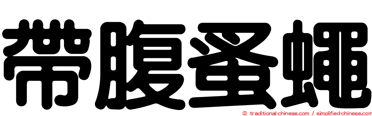帶腹蚤蠅