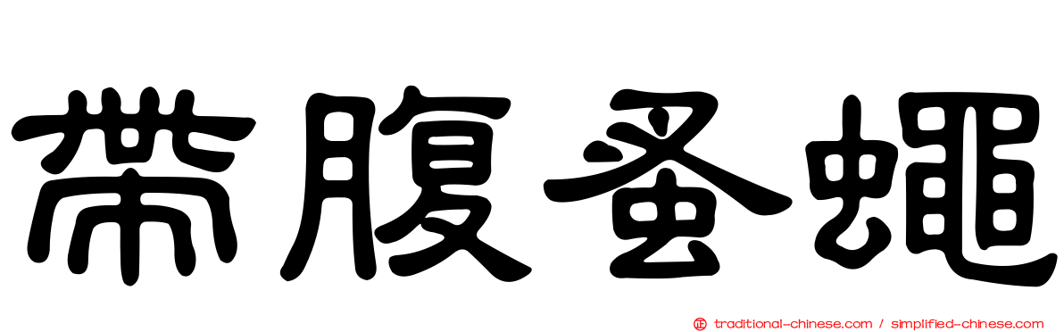 帶腹蚤蠅