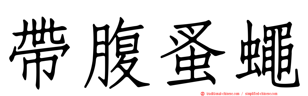 帶腹蚤蠅