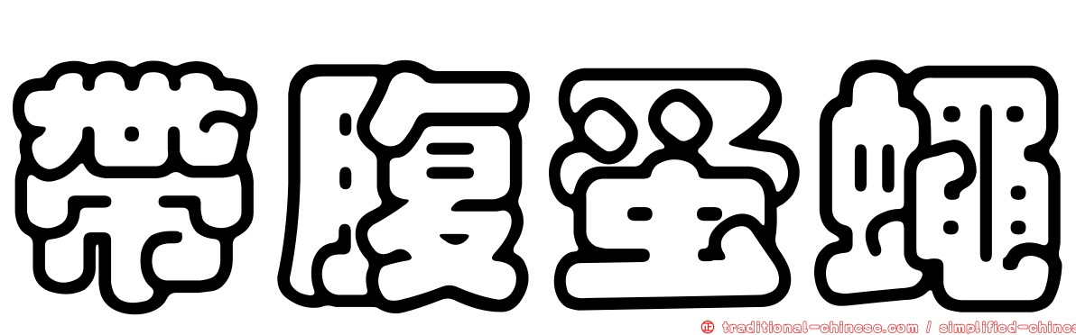 帶腹蚤蠅