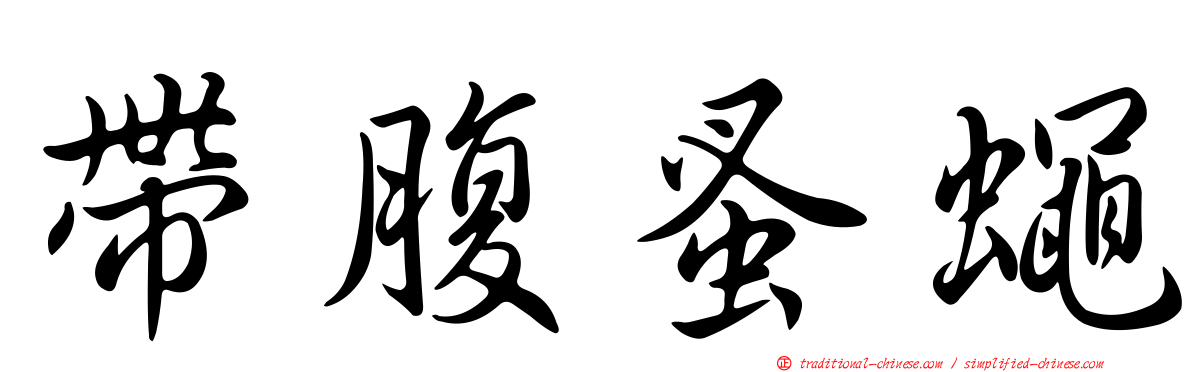 帶腹蚤蠅