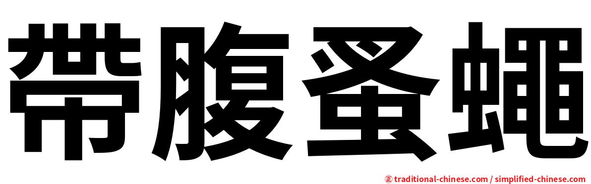帶腹蚤蠅