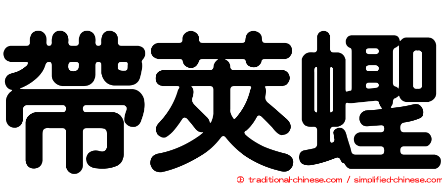 帶莢蟶