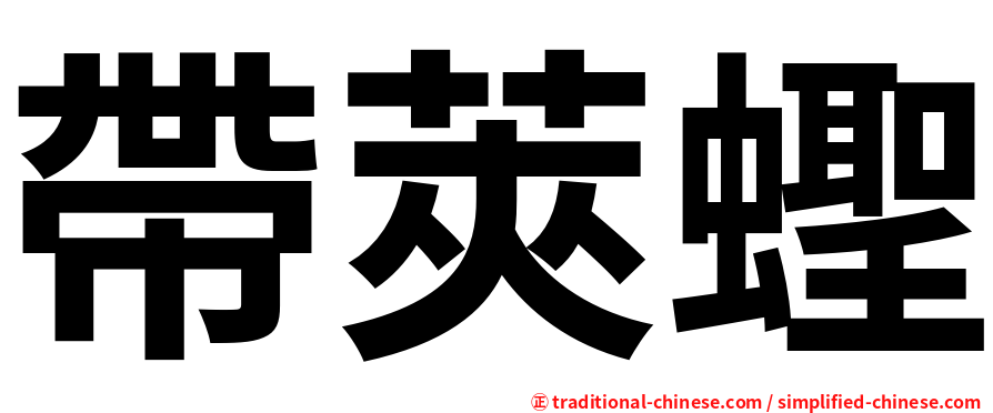 帶莢蟶