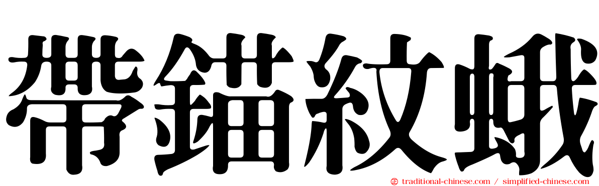 帶錨紋蛾