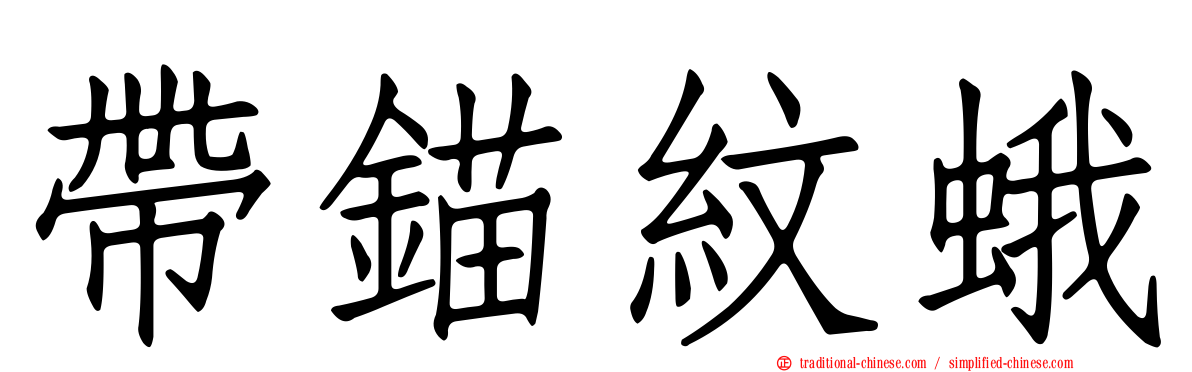 帶錨紋蛾