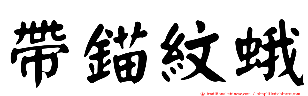 帶錨紋蛾