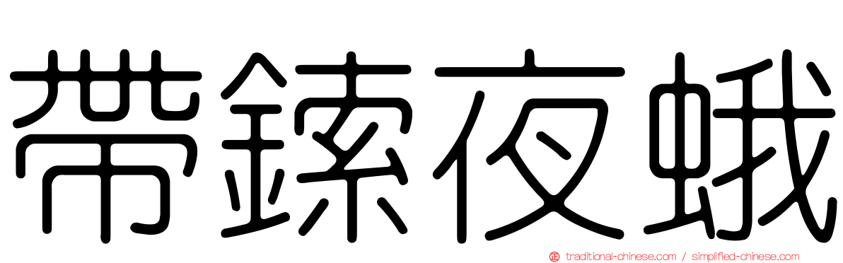 帶鎍夜蛾