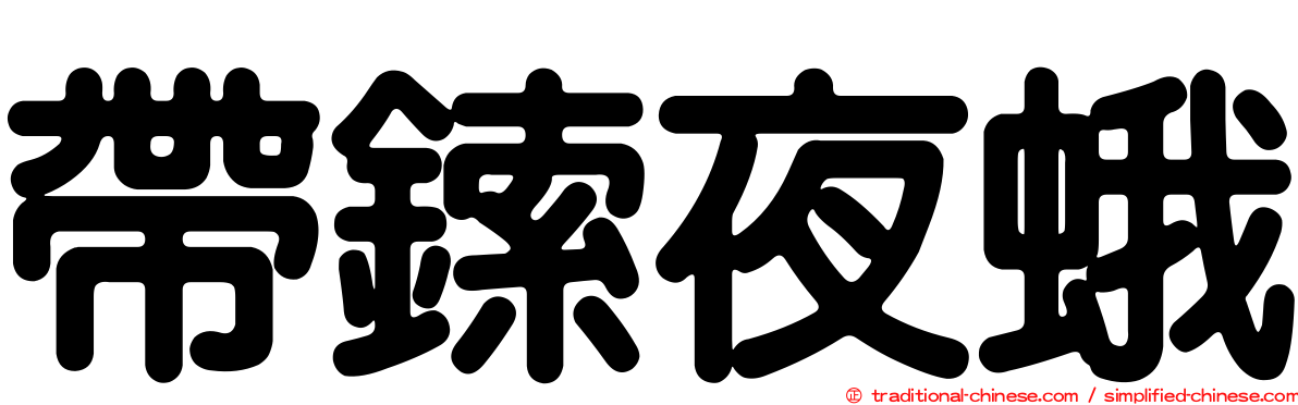 帶鎍夜蛾