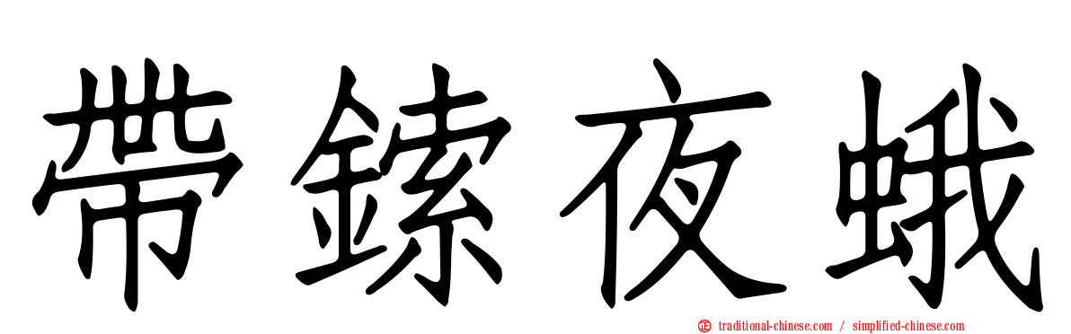 帶鎍夜蛾
