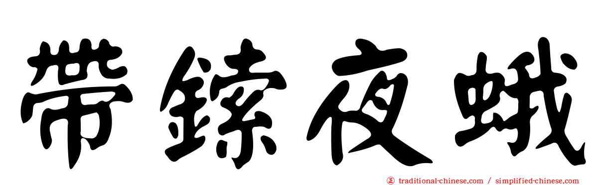 帶鎍夜蛾