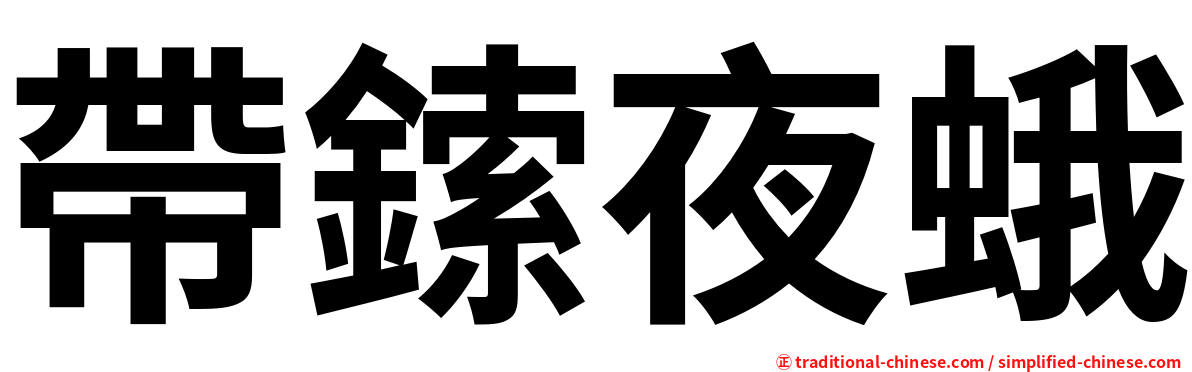 帶鎍夜蛾