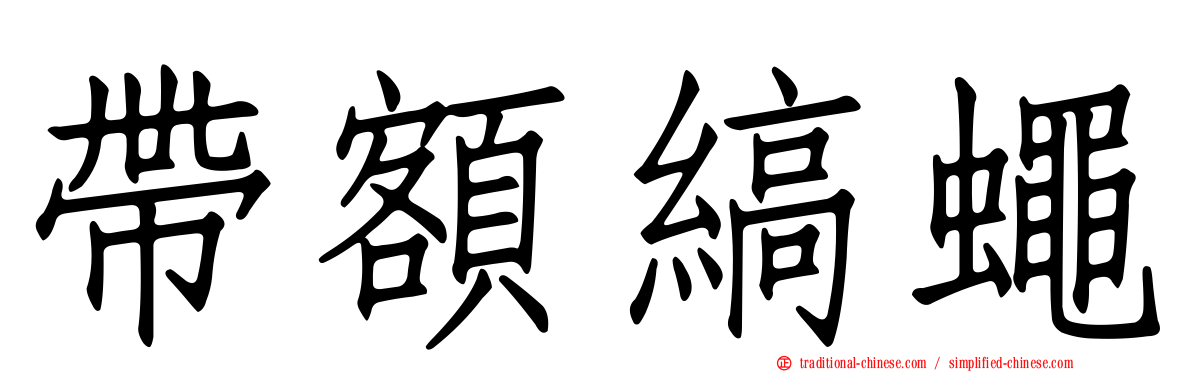 帶額縞蠅