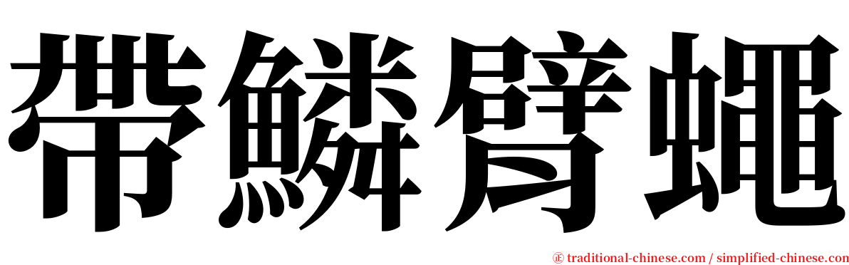 帶鱗臂蠅 serif font