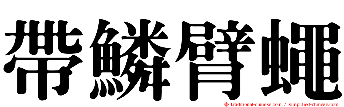 帶鱗臂蠅