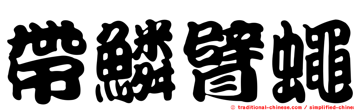 帶鱗臂蠅