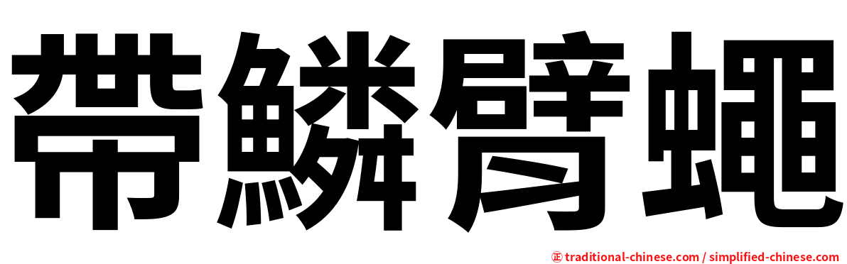 帶鱗臂蠅