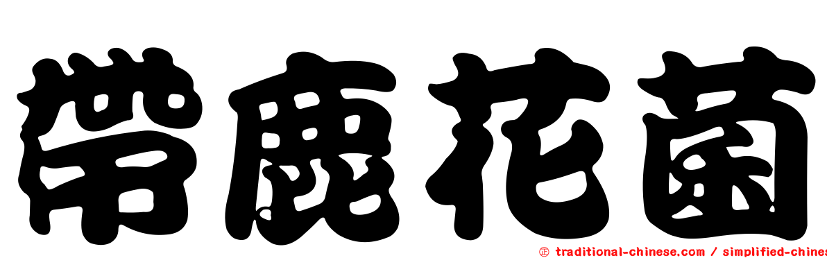 帶鹿花菌