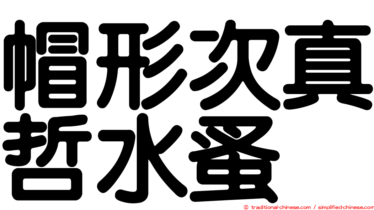 帽形次真哲水蚤