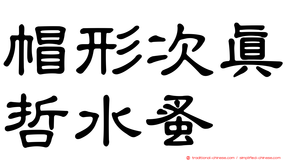 帽形次真哲水蚤