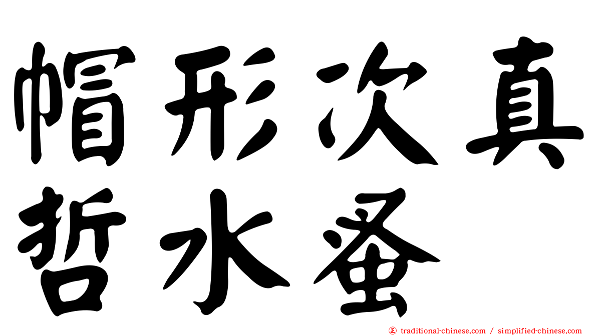 帽形次真哲水蚤