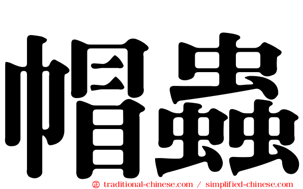 帽蟲