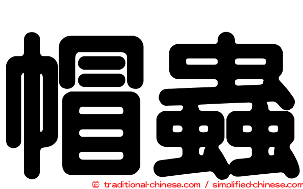 帽蟲