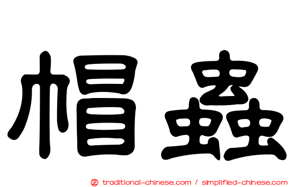 帽蟲