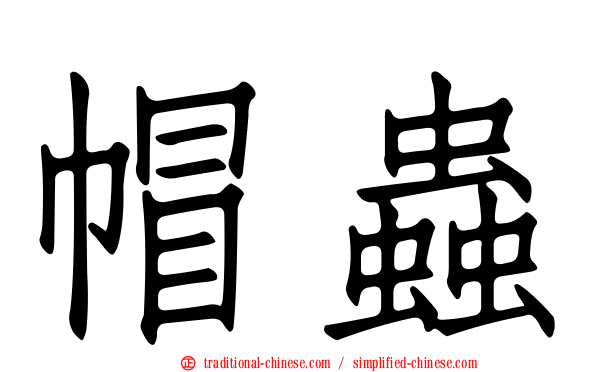 帽蟲