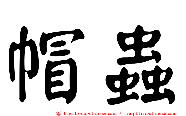帽蟲