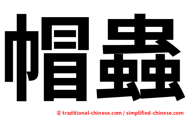 帽蟲