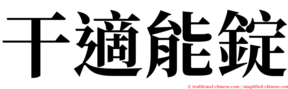 干適能錠 serif font